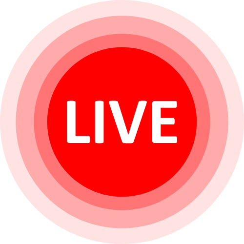 Hampster Live Cams